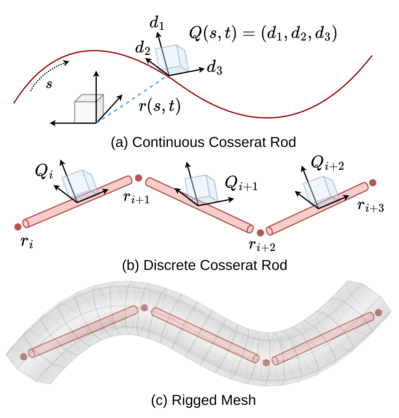 Cosserat rod modeling: continuous rod, discrete rod, and skinned mesh